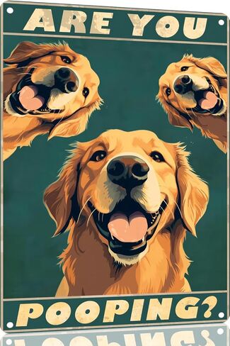 Metal Sign Golden Retriever Are You Pooping Sign Vintage Funny Sign Retro Aluminum Tin Signs for Home Farm Garden Bar Bathroom Kitchen 8x12 Inches(169) in Saudi Arabia