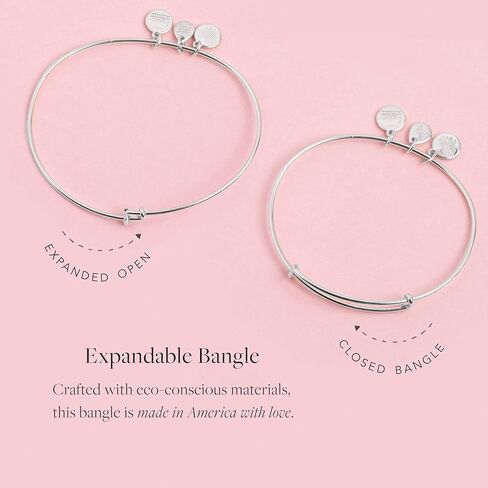 Alex and Ani Mantras + Inspirational Expandable Bangle for Women, Let Your Dreams Be Your Wings Charm, Shiny Silver Finish, 2 to 3.5 in,One Size,A21EBWAPDWSS, One-Size, Non-Precious Metal, no gemstone in Saudi Arabia