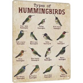 HYBLOM Vintage Hummingbird Guide Metal Sign - Types of Hummingbirds Tin Poster - Educational Bird Identification Wall Art, Office, Classroom, and Home Decor 8x12 Inches