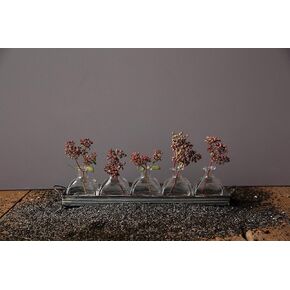 Decorative Iron Rectangle Tray with Handles & 5 Glass Vases