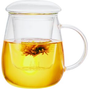 Glass Tea Cup with Infuser and Lid, Steeping Mug with Removable Strainer and Lid for Loose Leaf Tea, Borosilicate Glass Mug for Blooming Tea (Clear, 17.6 oz Capacity)