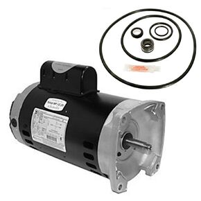 Puri Tech Replacement Motor Kit for Sta-Rite Dura-Glas II 2HP P4RA6G-188L AO Smith USQ1202 with GO-KIT-38