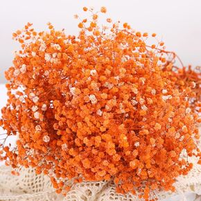 Babys Breath Dried Flowers Bouquet-17'' 2500+ Ivory Dry Flowers, Natural Gypsophila Branches for Wedding, Home Table Vase Decor, DIY Wreath Floral, Fall Thanksgiving Autumn Decoration (Brown, 3oz) in Kuwait