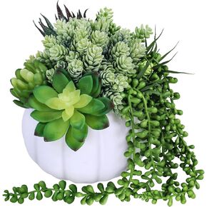 White Fall Pumpkin Centerpiece Artificial Succulent Pumpkin Arrangement with Assorted String of Pearls Succulents for Fall Thanksgiving Gifts Home Wedding Table Mantel Windowsill Shelf Decor