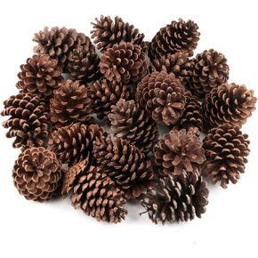 24PCS Large Natural Pine Cones Christmas Natural Pine Cones Scented Pine Cones for Christmas Decor DIY Crafts and Home Decorations