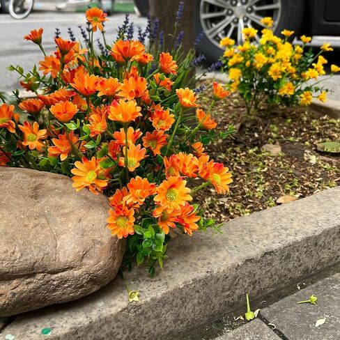 alyptus 8 Bundles Artificial Flowers for Outdoors Faux Mums UV Resistant Plastic Fall Plants Fake Greenery Orange Daisy Bulk for Home Gardenr Window Box Pathway Plante Wedding Decor (Orange) in Saudi Arabia