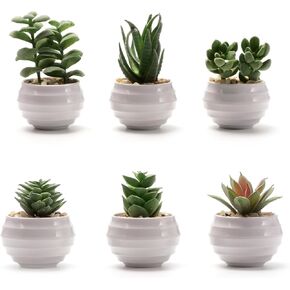 6 عبوات من النباتات العصارية المزيفة، نباتات صناعية صغيرة داخلية، ديكور رف كتب أخضر، نباتات صناعية لديكور المنزل، نبات صناعي بوعاء أبيض لديكور المنضدة in Kuwait