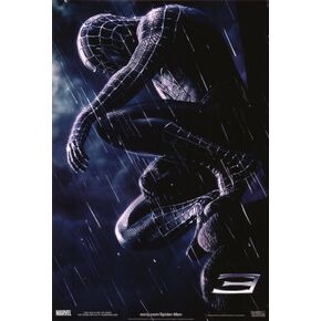 Spider-Man 3 Movie Poster Print (27 x 40)