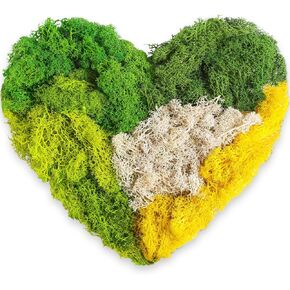 Canlierr 7 Oz Preserved Moss for Crafts Artificial Decorative Moss Faux 10 Colors Mix Garden Dried Floral Forest Moss for Terrariums, Wall Decor, Centerpieces, Fairy Gardens, Wedding, Floral Project