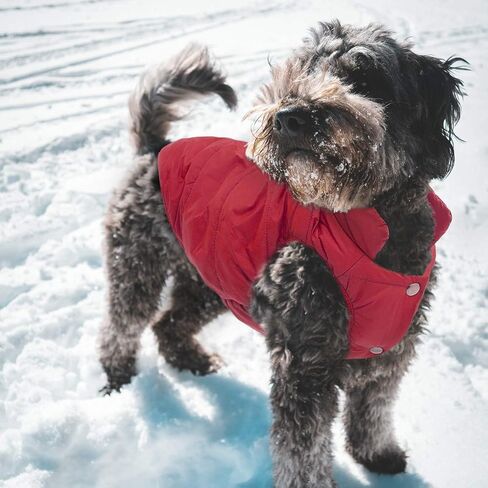 ASENKU Dog Winter Coat Dog Fleece Puffer Jacket for Small Medium Large Dogs in Kuwait