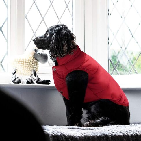 ASENKU Dog Winter Coat Dog Fleece Puffer Jacket for Small Medium Large Dogs in Kuwait