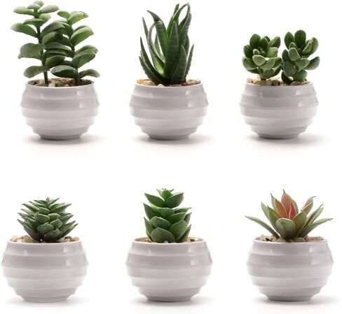 6 عبوات من النباتات العصارية المزيفة، نباتات صناعية صغيرة داخلية، ديكور رف كتب أخضر، نباتات صناعية لديكور المنزل، نبات صناعي بوعاء أبيض لديكور المنضدة in Kuwait