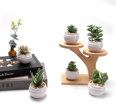 6 عبوات من النباتات العصارية المزيفة، نباتات صناعية صغيرة داخلية، ديكور رف كتب أخضر، نباتات صناعية لديكور المنزل، نبات صناعي بوعاء أبيض لديكور المنضدة in Kuwait