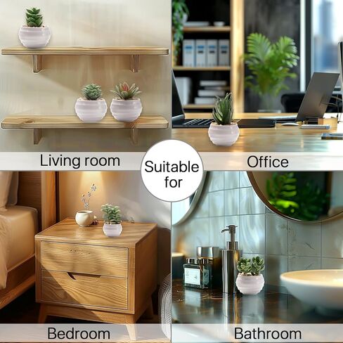 6 عبوات من النباتات العصارية المزيفة، نباتات صناعية صغيرة داخلية، ديكور رف كتب أخضر، نباتات صناعية لديكور المنزل، نبات صناعي بوعاء أبيض لديكور المنضدة in Kuwait