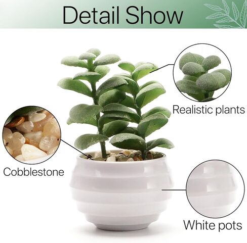 6 عبوات من النباتات العصارية المزيفة، نباتات صناعية صغيرة داخلية، ديكور رف كتب أخضر، نباتات صناعية لديكور المنزل، نبات صناعي بوعاء أبيض لديكور المنضدة in Kuwait