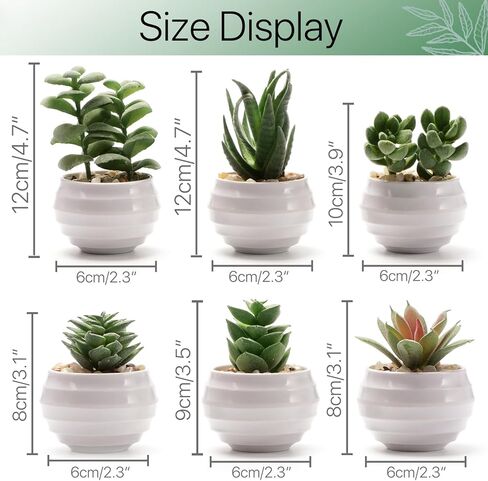 6 عبوات من النباتات العصارية المزيفة، نباتات صناعية صغيرة داخلية، ديكور رف كتب أخضر، نباتات صناعية لديكور المنزل، نبات صناعي بوعاء أبيض لديكور المنضدة in Kuwait