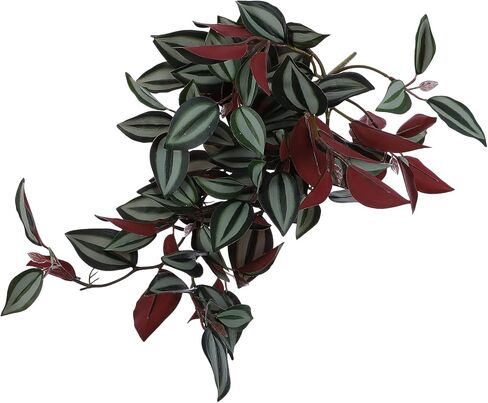 Wandering Jew Plant Artificial Hanging Plants Fake Vines: Artificial Hanging Leaves Plastic Greenery Garland for Home Wedding Garden Decoration Wandering Jew Live Plant in Saudi Arabia