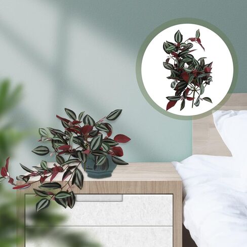 Wandering Jew Plant Artificial Hanging Plants Fake Vines: Artificial Hanging Leaves Plastic Greenery Garland for Home Wedding Garden Decoration Wandering Jew Live Plant in Saudi Arabia
