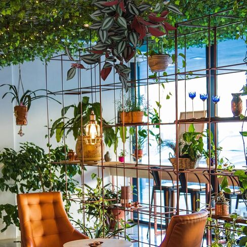 Wandering Jew Plant Artificial Hanging Plants Fake Vines: Artificial Hanging Leaves Plastic Greenery Garland for Home Wedding Garden Decoration Wandering Jew Live Plant in Saudi Arabia