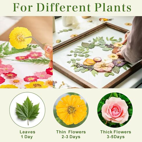 ورق نشاف ميفانكا لضغط الزهور. حزمة من 6 ورقات (7 * 7 بوصة) in Kuwait