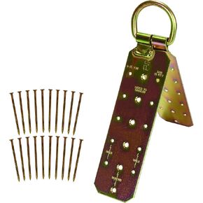 FallTech 7410 Temporary Reusable Roofing Anchor - Reusable, Hinged Roof Anchor with Heavy Duty D-Ring includes Nails, Gold