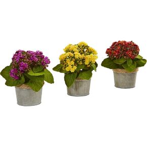 Nearly Natural Kalanchoe Artificial Arrangements (Set of 3)