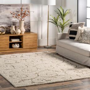 nuLOOM Maisha Contemporary Shag Accent Rug, 3x5, Cream