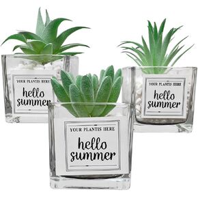 Artificial plant mini succulent potted plant decoration creative stone glass bottle green plant desk modern office living room table shelf home indoor outdoor decoration, 3 piece set, glass.
