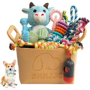 SXKJJC 20Pcs Puppy Toys, Puppy Chew Toys for Teething, Pet Dog Toothbrush Chew Toys for Puppy, Interactive Dog Rope Toys with Bin for Small Medium Breed, Dog Toy Basket and Bin Full of Fun