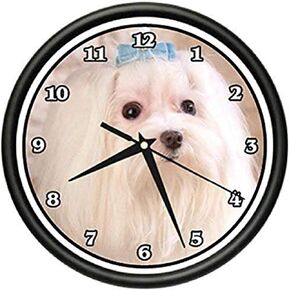 SignMission Beagle Maltese Wall Clock Dog Doggie pet Breed Gift