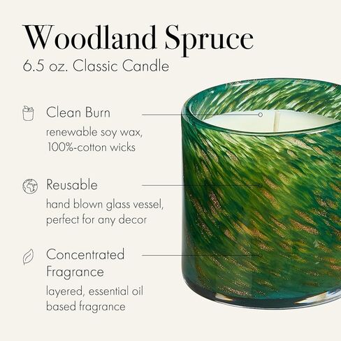 LAFCO New York Classic Candle, Midnight Cactus - 6.5 oz - 50-Hour Burn Time - Reusable, Hand Blown Glass Vessel - Made in The USA in Saudi Arabia