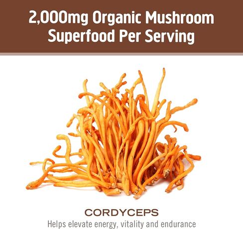 Om Mushroom Superfood Cordyceps Mushroom Capsules Superfood Supplement, 90 Count, 30 Days, Energy, Power, Stamina and Endurance Support, Superfood Supplement for Sports Performance in Kuwait