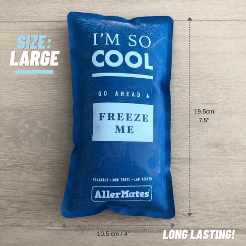 AllerMates Long Lasting Ice Gel Pack for Children's Medium Medicine Cases in Kuwait