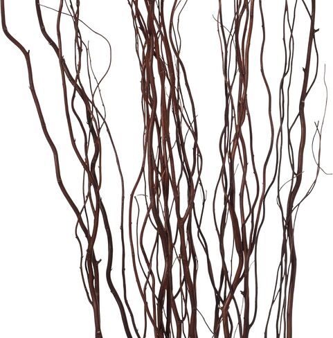 Brown Natural Decorative Dry Branches Authentic Willow Birch Sticks for Home Decoration, Wedding Craft, and Floor Vase in Saudi Arabia