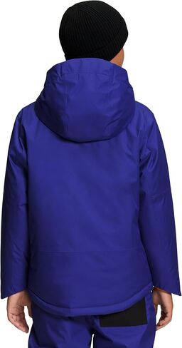 THE NORTH FACE Freedom Insulated Jacket (Toddler) in Saudi Arabia