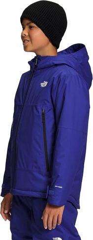 THE NORTH FACE Freedom Insulated Jacket (Toddler) in Saudi Arabia