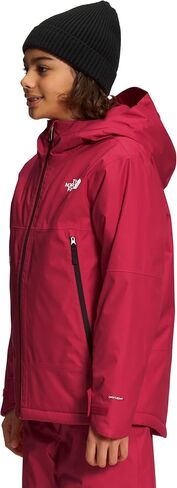 THE NORTH FACE Freedom Insulated Jacket (Toddler) in Saudi Arabia