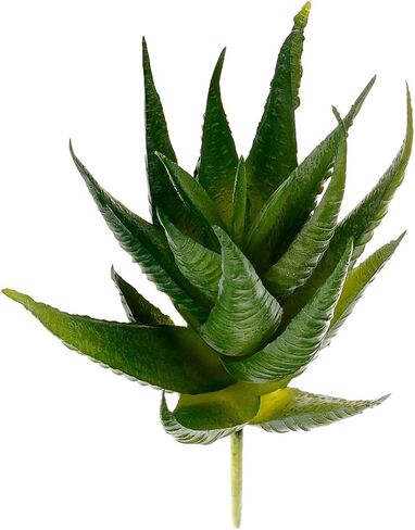 قطعتان من عصارة صناعية صغيرة من Supla، صبار هاوورثيا الأخضر الشائك، صبار صناعي صغير، غير محفوظ بوعاء (أخضر) in Kuwait