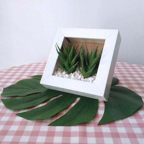 قطعتان من عصارة صناعية صغيرة من Supla، صبار هاوورثيا الأخضر الشائك، صبار صناعي صغير، غير محفوظ بوعاء (أخضر) in Kuwait