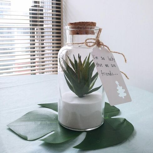 قطعتان من عصارة صناعية صغيرة من Supla، صبار هاوورثيا الأخضر الشائك، صبار صناعي صغير، غير محفوظ بوعاء (أخضر) in Kuwait