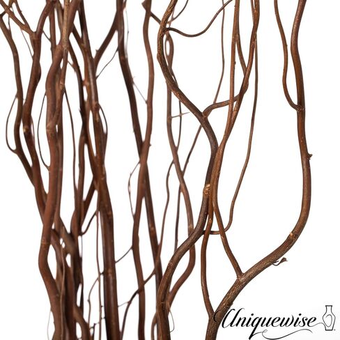 Brown Natural Decorative Dry Branches Authentic Willow Birch Sticks for Home Decoration, Wedding Craft, and Floor Vase in Saudi Arabia