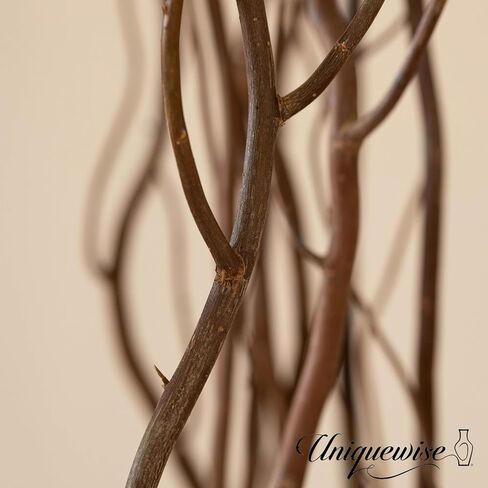 Brown Natural Decorative Dry Branches Authentic Willow Birch Sticks for Home Decoration, Wedding Craft, and Floor Vase in Saudi Arabia