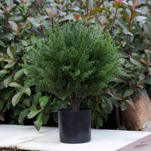 2.9 ft (35 in) Simulated Cedar Pallet Tree Potted Plants UV Protected Foliage Outdoor Simulated Shrubs Home & Office Interior Decor Outdoor Pruning Trees Simulated Outdoor Trees in Kuwait