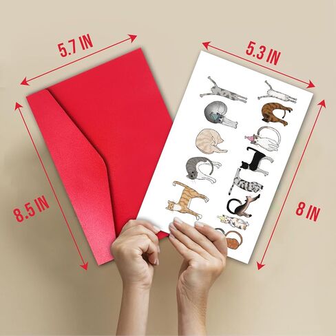 TQDaiker Funny Pregnancy Announcement Card for Grandparents, You've Been Promoted From Dog to Human, Pregnancy Announcement Gift in Saudi Arabia