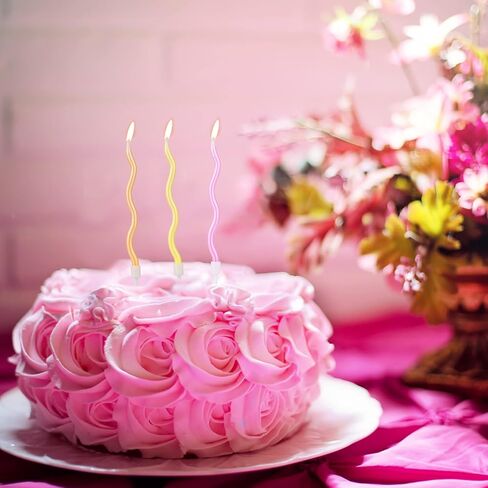 24pcs Spiral Cake Candles, Rainbow Birthday Candles with Holders Twisty Metallic Candles for Cake Party Decorations for Birthday Wedding(Thin Spiral) in Saudi Arabia