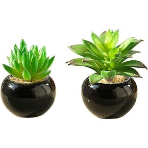 Teensery 2 Pcs Mini Artificial Succulent Plants Pots with Black Round Ceramic Bowl for Home Decoration, Office Decoration, Gift and More