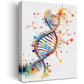 Watercolor DNA Science Wall Art Decor Genetics Poster Framed Painting Print Canvas Artwork for Home Office Classroom Decor 12 X 15 Inch
