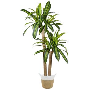 Artificial Dracaena Tree, 6ft Tall Fake Dracaena Plant with Basket, Indoor Outdoor Faux Topiary Yucca Trees for Office Home Living Room Porch Patio Décor