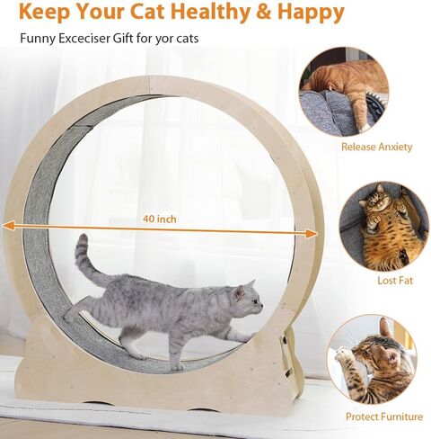 عجلة تمرين القطط من NATUYA للقطط الداخلية، جهاز تمرين الجري للقطط مع آلية القفل، تدريب الجري فائق الهدوء للياقة البدنية للقطط، سهل التجميع (أسود) in Kuwait