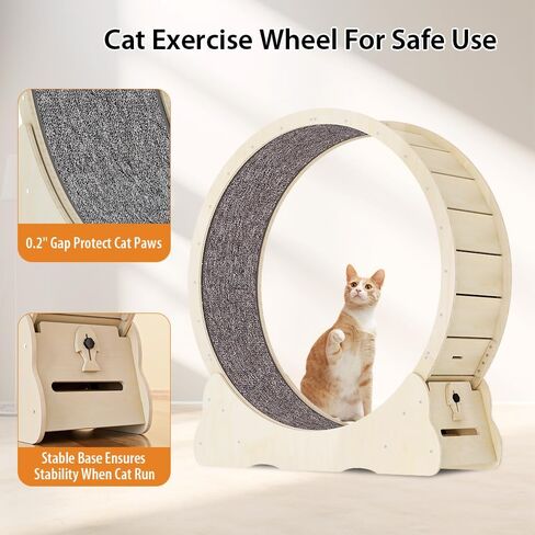 عجلة تمرين القطط من NATUYA للقطط الداخلية، جهاز تمرين الجري للقطط مع آلية القفل، تدريب الجري فائق الهدوء للياقة البدنية للقطط، سهل التجميع (أسود) in Kuwait